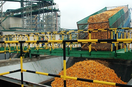 敦煌種業(yè)先鋒良種有限公司酒泉種子加工廠三、四期工程竣工投產(chǎn)