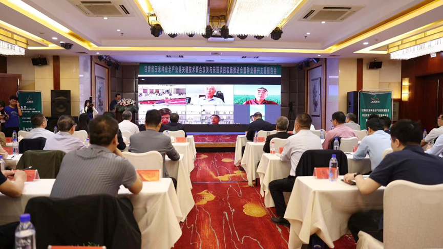 “三抓三促”進(jìn)行時 | 敦煌種業(yè)牽頭：“甘肅省玉米種業(yè)全產(chǎn)業(yè)鏈關(guān)鍵技術(shù)聯(lián)合攻關(guān)與示范”項目實(shí)施推進(jìn)會暨種業(yè)振興主題報告會召開